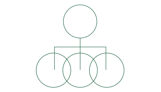 Private Equity Consulting